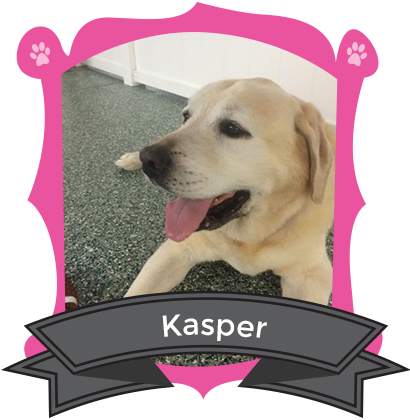 Our May Camper of the Month is Kasper