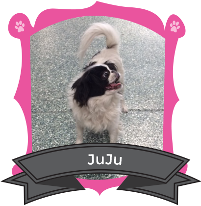 December Camper of the Month is JuJu