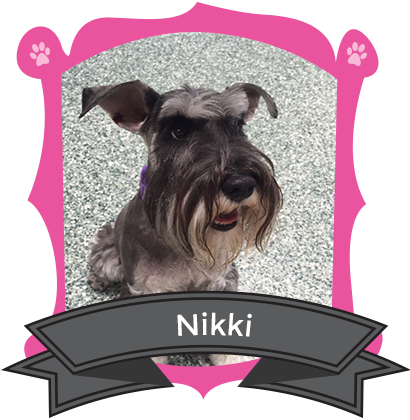 Our February Camper of the Month is Nikki