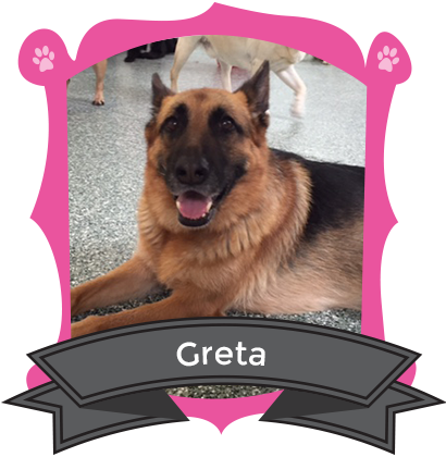 Our March Camper of the Month is Greta
