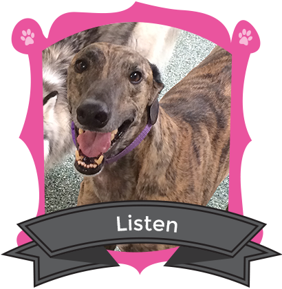 Our May Camper of the Month is Listen