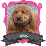 Our June Camper of the Month is Riley