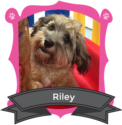Our August Camper of the Month is Riley