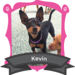 October Camper of the Month is Kevin