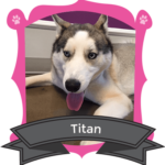 November Camper of the Month is Titan