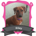 January Camper of the Month is Riley