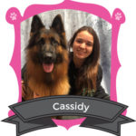 The Paws Team Cassidy