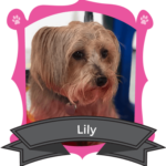 April Camper of the Month is Lily