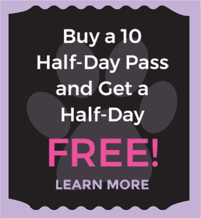 Buy a 10 Half Day Pass and get Half Day Free!