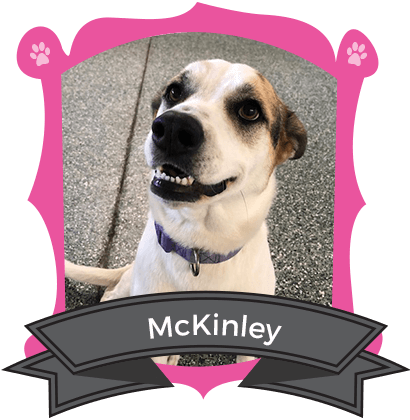 Big Dog November Camper of the Month is McKinley