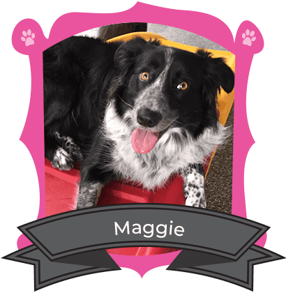 July Camper of the Month is Maggie