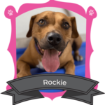 October Camper of The Month Is Rockie