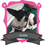 November Camper of The Month is Susie
