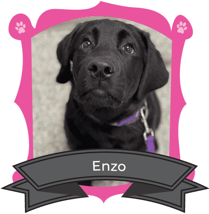 March Camper of The Month is Enzo