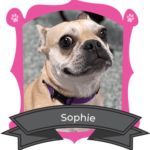 April Camper of The Month is Sophie