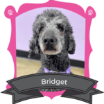 May Camper of The Month is Bridget