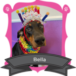 August Camper of The Month is Bella
