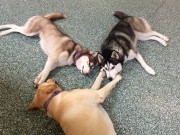 Best Friends