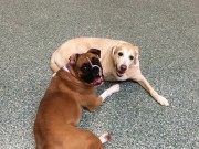 Best Friends