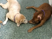 Best Friends