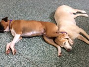 Best Friends