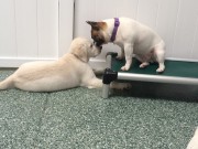Best Friends