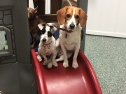 Best Friends