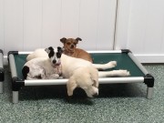 Best Friends