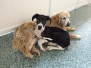 Best Friends