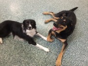 Best Friends