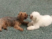 Best Friends
