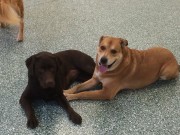 Best Friends