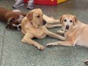 Best Friends