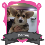Our June Camper of the Month is Daren