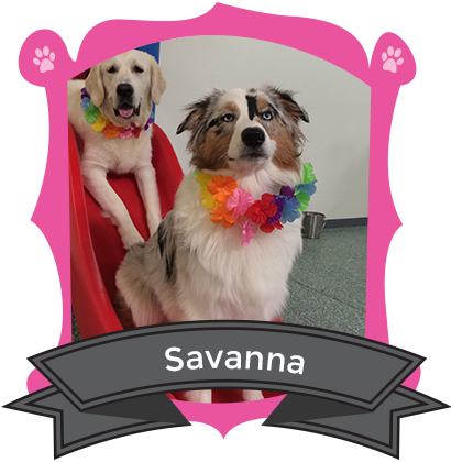 Our July Camper of the Month is Savanna