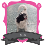 Our December Camper of the Month is JuJu