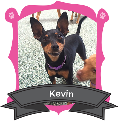 October Camper of the Month is Kevin