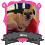 April Camper of the Month is Kiwi