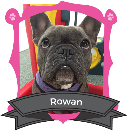 June Camper of the Month is Rowan