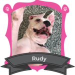September Camper of the Month is Rudy