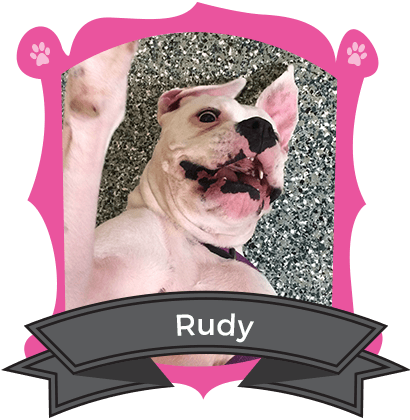 September Camper of the Month is Rudy