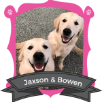 May Camper of the Month: Jaxson & Bowen