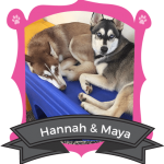 July Campers of the Month: Hannah & Maya