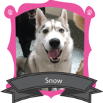 September Camper of the Month is Snow
