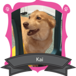 October Camper of the Month is Kai