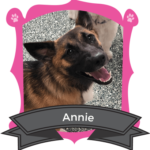 December Camper of the Month is Annie