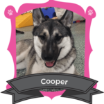 January Camper of the Month is Cooper