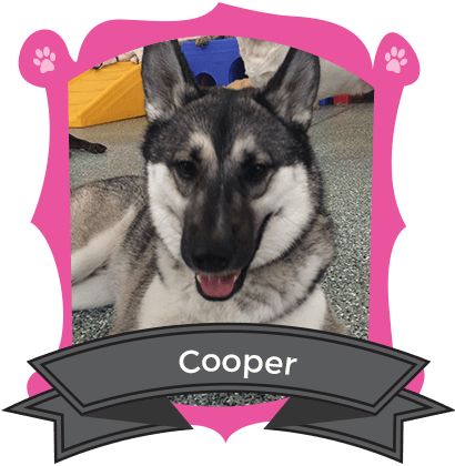 January Camper of the Month is Cooper