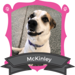 Big Dog November Camper of the Month is McKinley