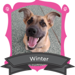 Big Dog January Camper of the Month is Winter